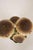 Brown Painted French Tole Mushroom Decoration For Sale - Image 8 of 11