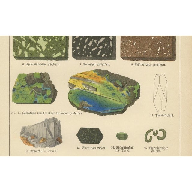 Antique Mineralogy Chromolithographs of Granite, Calcite and Fossil, 1888, Set of 2 For Sale - Image 9 of 12
