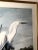 Late 20th Century John James Audubon Snowy Heron or White Egret Print Beautifully Matted and Framed Vintage Excellent Condition For Sale - Image 5 of 7