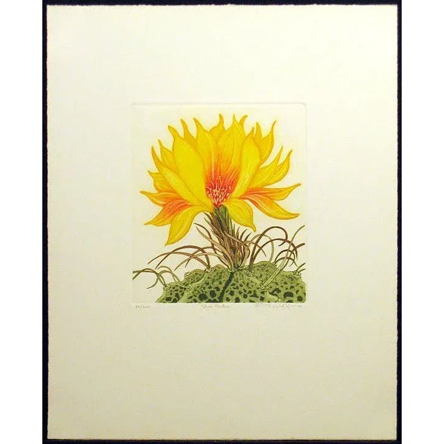 1981 Portfolio of Cactus Flower Etchings After Arnold Iger - Set of 5 For Sale - Image 9 of 13