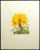 1981 Portfolio of Cactus Flower Etchings After Arnold Iger - Set of 5 For Sale - Image 9 of 13