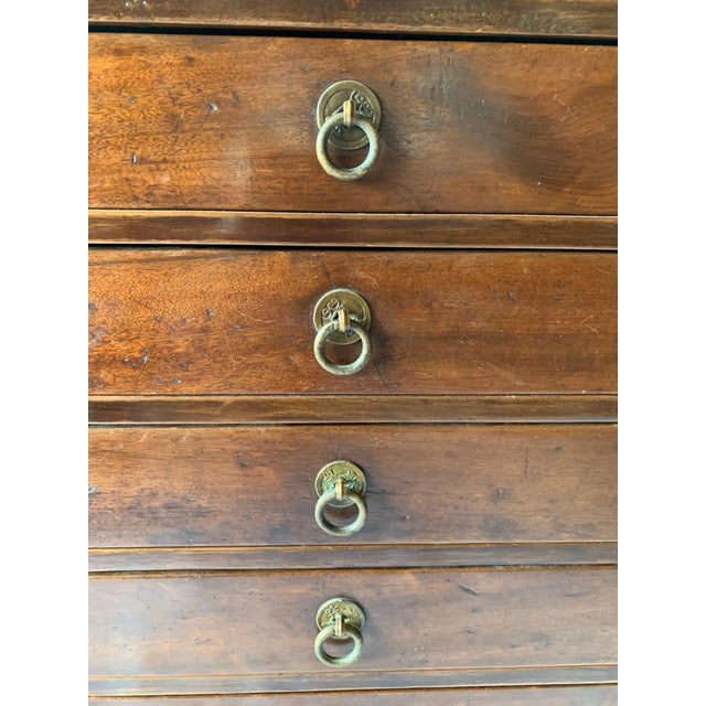 Late 19th Century Camphor Wood Lacquered Chinese Scholar Cabinet 'Qing Dynasty' For Sale - Image 11 of 12