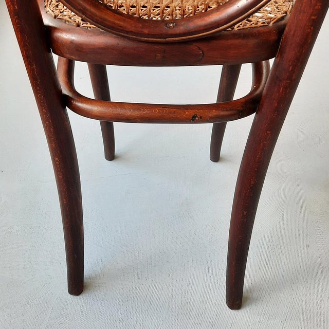 Shop Chair by Michael Thonet for Thonet, 1900 For Sale - Image 11 of 14