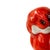 Porcelain - Parakeet - Vista Alegre. Hand-painted polychrome biscuit sculpture from the Vista Alegre factory. Mark No. 32...