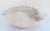 Seashell Bowl Italian Mid-Century Ceramic For Sale - Image 4 of 7