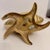 Metal Nautical Brass Sea Shell on Starfish Base Planter For Sale - Image 7 of 12