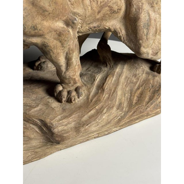 Armand Fagotto, Lion, Terracotta For Sale - Image 4 of 18