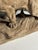 Armand Fagotto, Lion, Terracotta For Sale - Image 4 of 18
