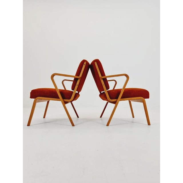 Bauhaus German Lounge Armchair by Selman Selmanagic for VEB Hellerau, 1950s, Set of 2 For Sale - Image 5 of 18