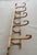 Wood Wall-Mounted Coat Hook with Five Arms by Michael Thonet for Gebrüder Thonet, 1900 For Sale - Image 7 of 10