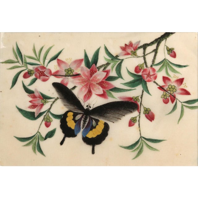 China Trade Pith Paper Paintings of Fruit and Butterflies, a Set of Six For Sale - Image 9 of 14