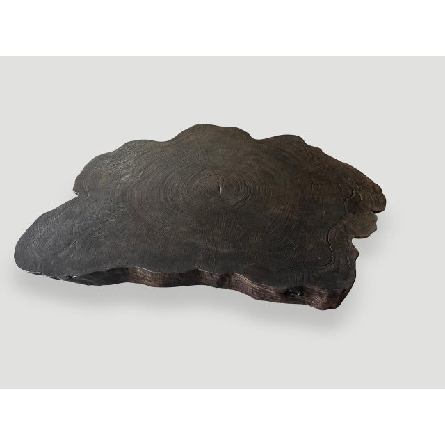 Andrianna Shamaris Amorphous Charred Coffee Table For Sale - Image 12 of 18