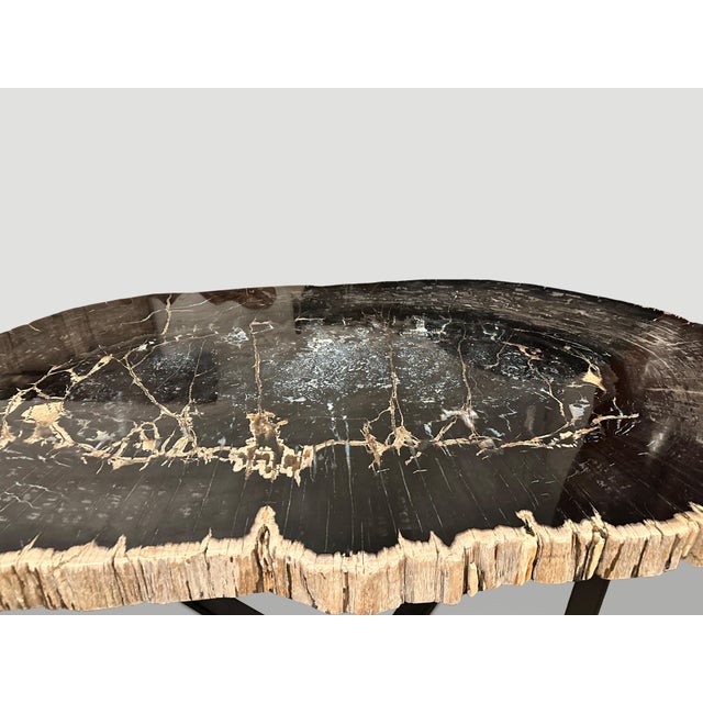 Andrianna Shamaris Magnificent Large Petrified Wood Table For Sale - Image 14 of 18