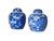 Vintage Asian Antique Blue and White Ginger Jars- A Pair For Sale - Image 12 of 16