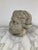 Stone Stone Statuary Head of Venus For Sale - Image 7 of 11