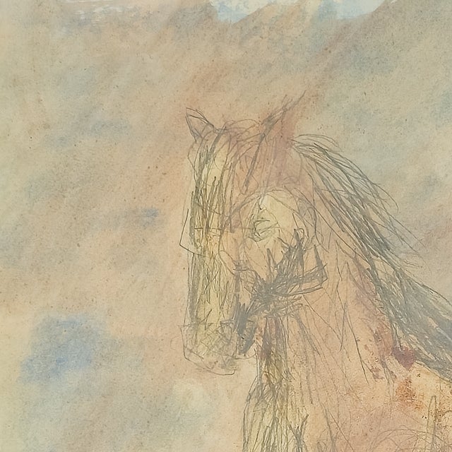 Illustration Graphite Horse - Virginia Cohn Parkum, C. Unknown For Sale - Image 3 of 7