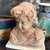 Stone 1930s Mixed Stone Sicilian Sculpture of a Putto on a Marble Base For Sale - Image 7 of 15