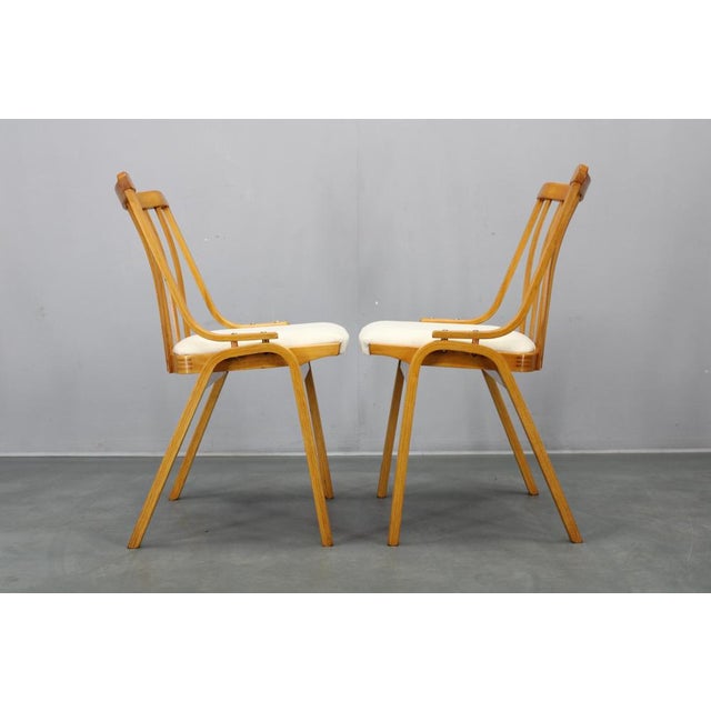 Mid-Century Dining Chairs from Jitona, 1960s, Set of 4 For Sale - Image 16 of 18