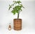 Italian Rattan and Bamboo Round Basket Plant Holder Vase, 1960s For Sale - Image 11 of 14