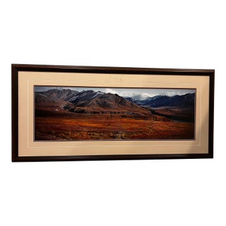1990s Thomas Mangelsen Original Print For Sale