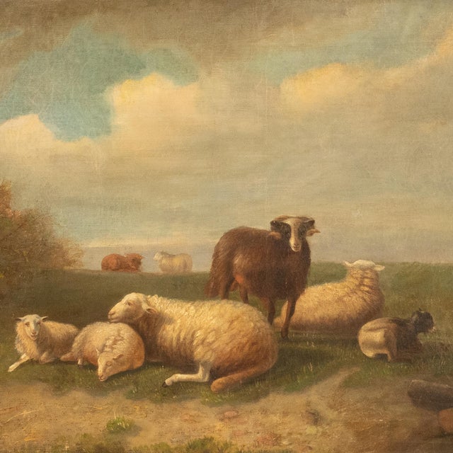 19thC Belgian Realist Pastoral Oil Canvas Landscape Painting Ram Sheep & Goat Laurent De Beul 1870 For Sale In Portland, OR - Image 6 of 14