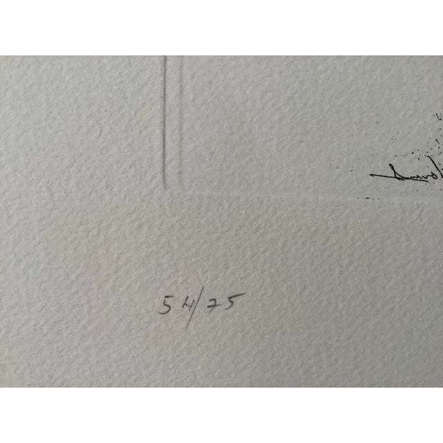 Signed 1985 Etching by Islam Monirul (Monir) — Aurore Boreale For Sale - Image 4 of 12