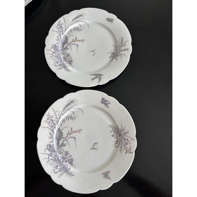 Porcelain Plates and Platter by Ch Pillivuyt & Cie, 1890s, Set of 8 For Sale - Image 3 of 17