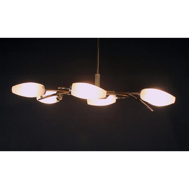 Maison Lunel Maison Lunel, Brass Chandelier and Six Opalines Shades, Mid-Century France For Sale - Image 4 of 7