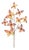 Decorative Butterfly Spray (Set of 4) For Sale