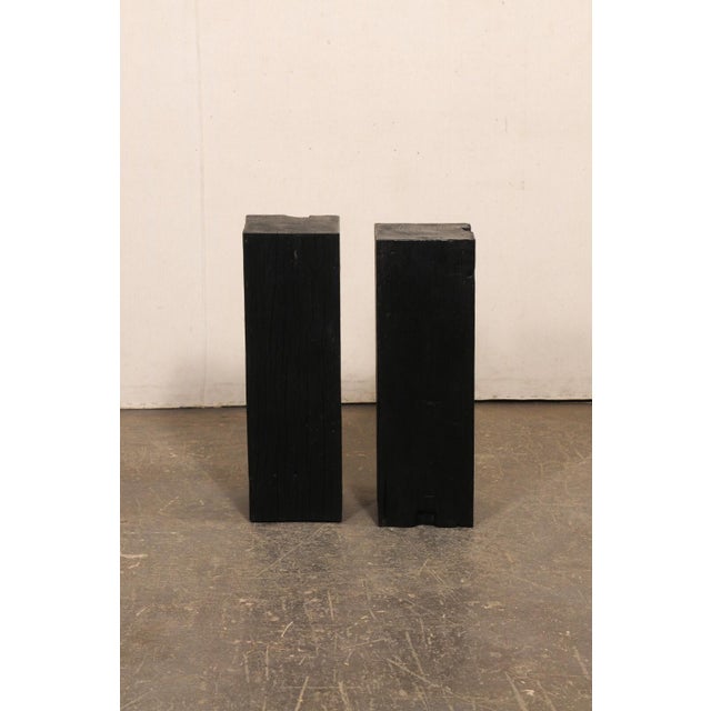 19th Century Indonesian Carbonized Ironwood Pedestals – A Pair For Sale - Image 9 of 12