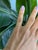 Ten earth-mined diamonds sparkle across this solid 14K yellow gold band. A classic, versatile design that shines on its...