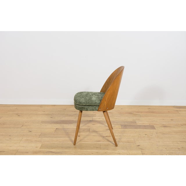 Mid-Century Modern Ash Veneer Dining Chairs by Antonín Šuman for Mier Topoľčany, Czechoslovakia, 1960s, Set of 4 For Sale - Image 10 of 18