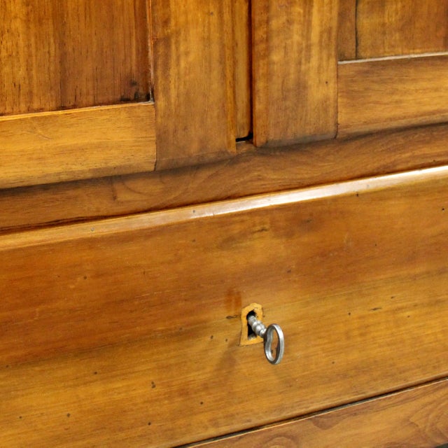 Wood Italian Wardrobe in Walnut, 19th Century For Sale - Image 7 of 14