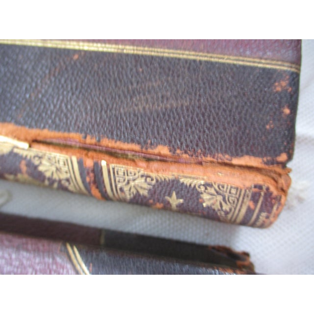 Brown The Works of Goethe 1st Edition 1885 Plublisher George Barrie Illustrated by Best German Artists 4 Volume For Sale - Image 8 of 12