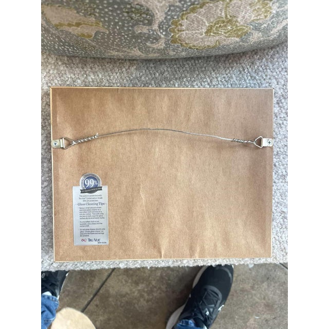 1920s Antique Lion Botanical Print in Walnut Frame For Sale - Image 5 of 6