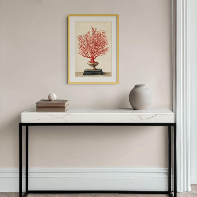 Illustration Red Sea Gorgonian Coral — Antique Natural History Illustration For Sale - Image 3 of 3