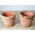 Early 20th Century English Pair of Large 20th Century Terracotta Decorated Planters For Sale - Image 5 of 12