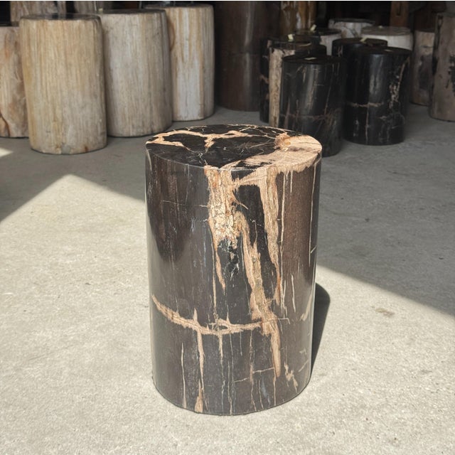 Side Table in Black Petrified Wood with Beige Striations and a Circular Arc For Sale - Image 15 of 18