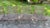 Mid-Century Bob Anderson Wrought Iron Mesh Patio Chairs - 5 Pieces, Attributed For Sale - Image 13 of 16