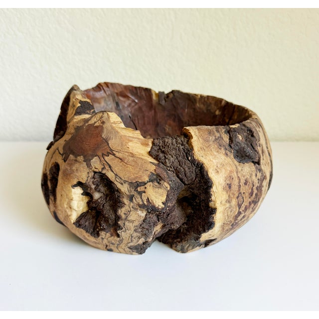 Wood 1970s Rustic Burl Wood Vessel For Sale - Image 7 of 12