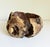 Wood 1970s Rustic Burl Wood Vessel For Sale - Image 7 of 12