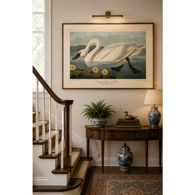 Paint Common American Swan, Museum Style Audubon Bird Print, 24" X 16" For Sale - Image 7 of 10