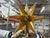 Monumental Star Shaped Chandelier. Offered is a most unusual Post-Modern star shaped 51 inch steel chandelier with inset...