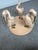 1960s Coastal Sea Bird Coffee Table For Sale - Image 9 of 9