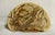 Mid-Century Etched Folk Art Artist's Conk Mushroom For Sale - Image 4 of 17