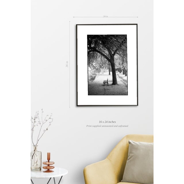 Paul Cooklin, Trees, Ardennes, Edition of 50 For Sale - Image 4 of 7
