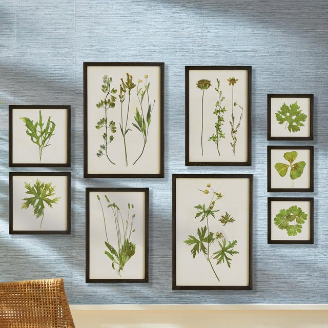 Kenneth Ludwig Chicago Foliage Prints, Set Of 9 For Sale - Image 4 of 4