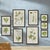 Kenneth Ludwig Chicago Foliage Prints, Set Of 9 For Sale - Image 4 of 4