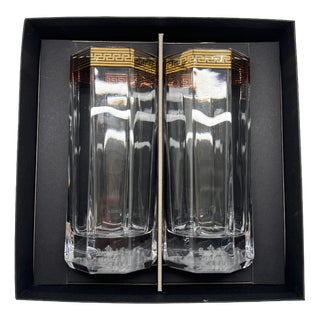 Medusa Dor Longdrink Glasses by Versace for Rosenthal, 1990s, Set of 2 For Sale
