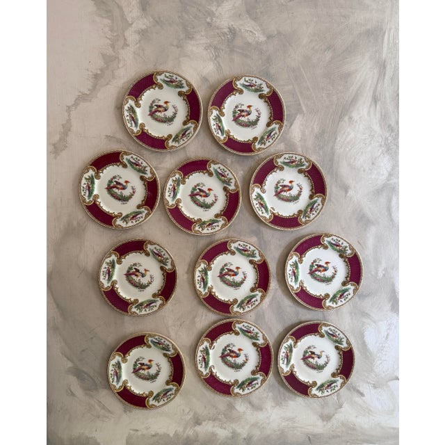 Antique Myott Chelsea Bird Bread Plates – 6 3/8-Inch Staffordshire England Porcelain With Burgundy and Gilt Decoration - Set of Eleven (11) For Sale - Image 9 of 12